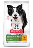 Hill's Science Plan 7+ Youthful Vitality Medium kip 14 kg