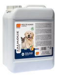 BF Petfood Zalmolie 5 ltr