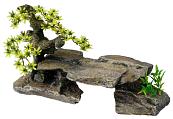 Aqua D'ella bonsai stone grey with plants