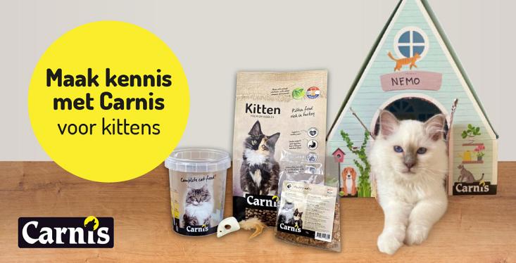 Carnis Kitten Box