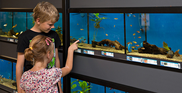 Alles voor jouw aquarium