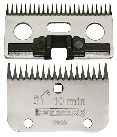 Constanta Rodeo R6 3mm    18/24tands