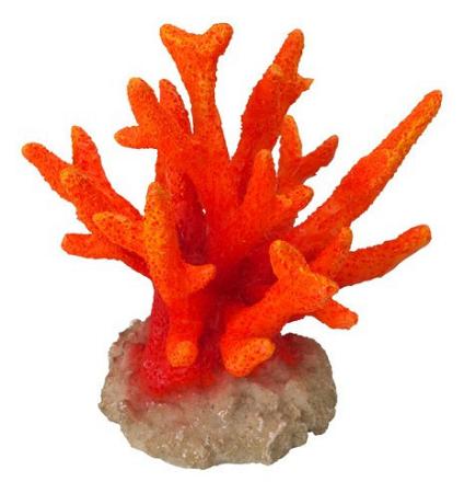 Aqua D'ella coral seriatopora orange
