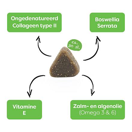 Sanimal Soepele Gewrichten 30 st