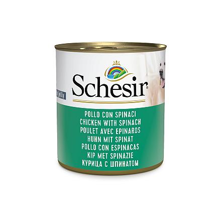 Schesir Hondenvoer Kip/Spinazie Gelei<br> 285 gr