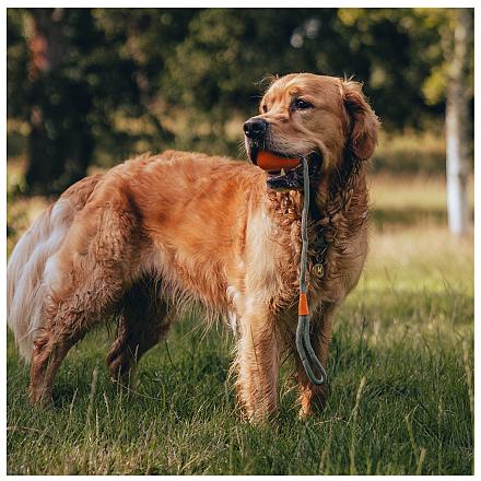 Beco Hondenspeelgoed Slinger Ball Orange