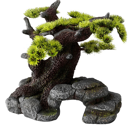 Aqua D'ella bonsai M/L