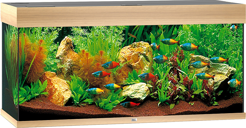 Juwel aquarium Rio 180 LED licht eiken