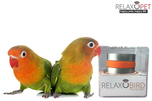 RelaxoBird Smart